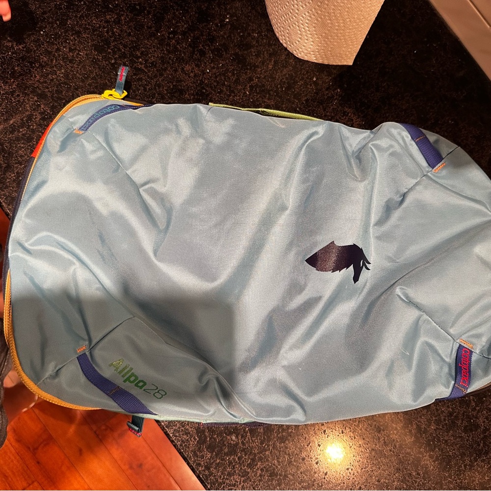 Cotopaxi Allpa 28L Backpack - Light Blue and Multicolor